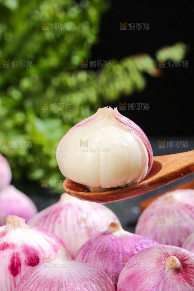 深底上的紫皮独蒜