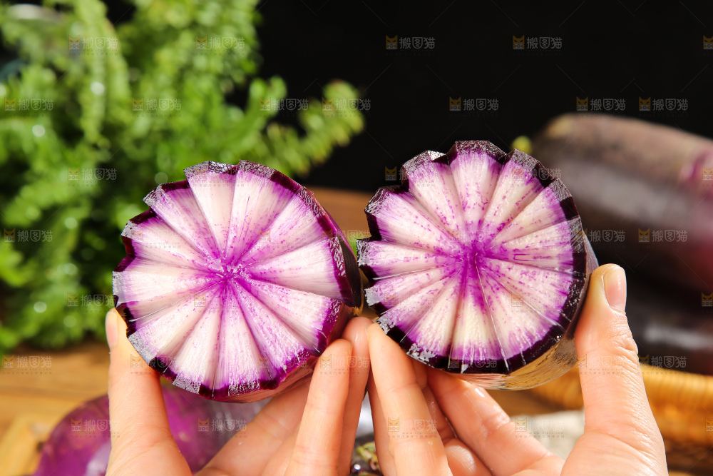 深底上的冰淇凌萝卜