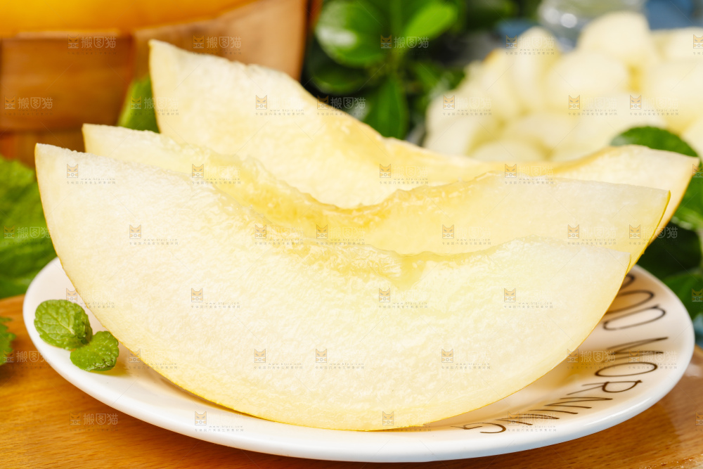 浅底上的黄河蜜瓜