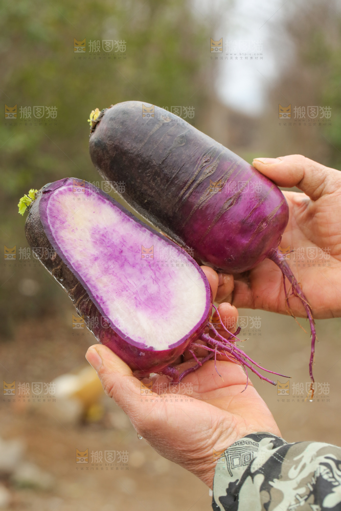 手里拿着冰淇凌萝卜
