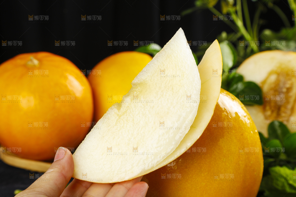 深底上的黄河蜜瓜