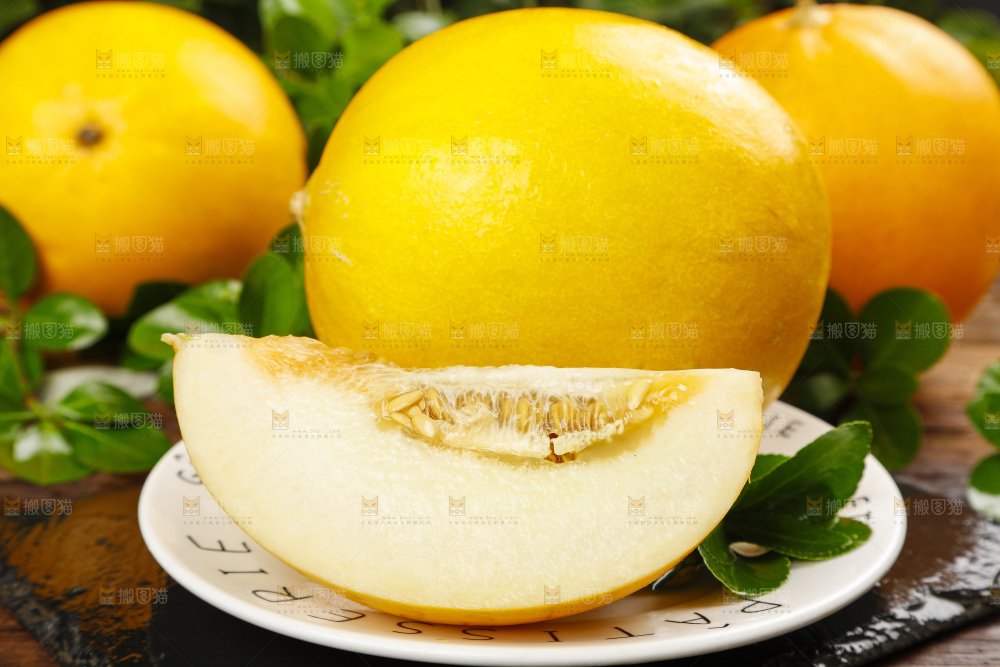 深底上的黄河蜜瓜