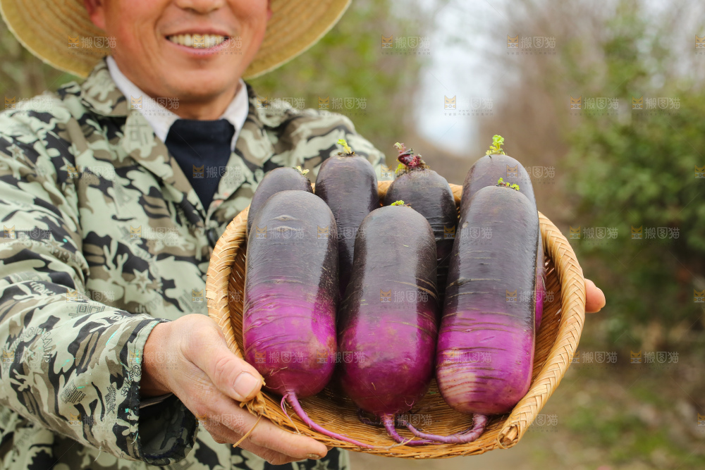 手里拿着冰淇凌萝卜