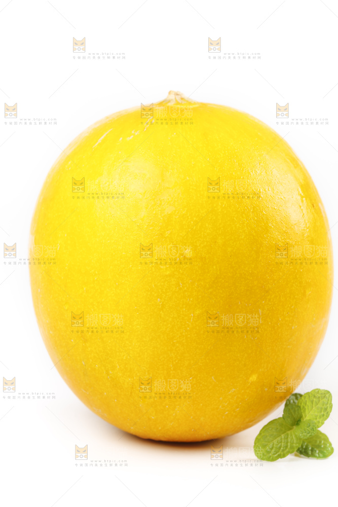 白底上的黄河蜜瓜