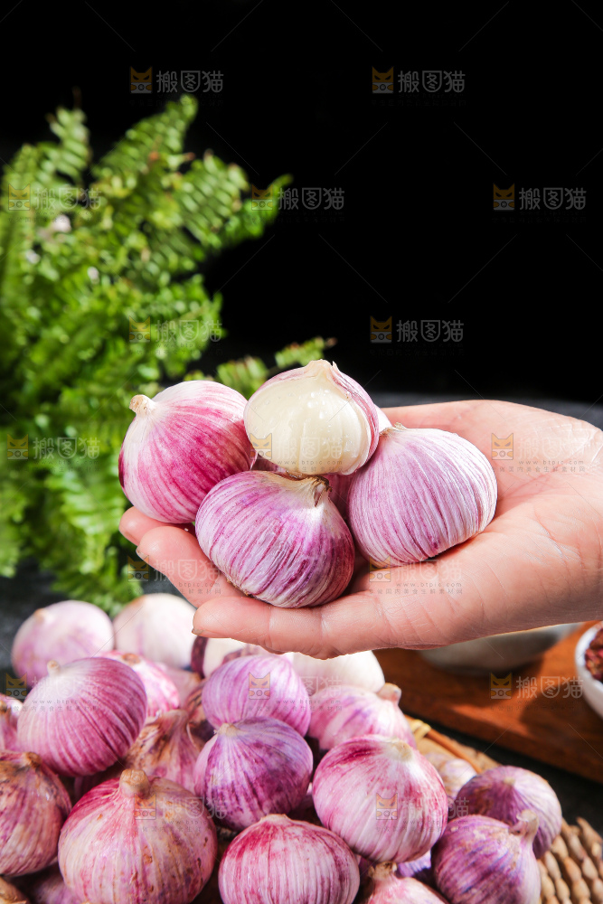 深底上的紫皮独蒜