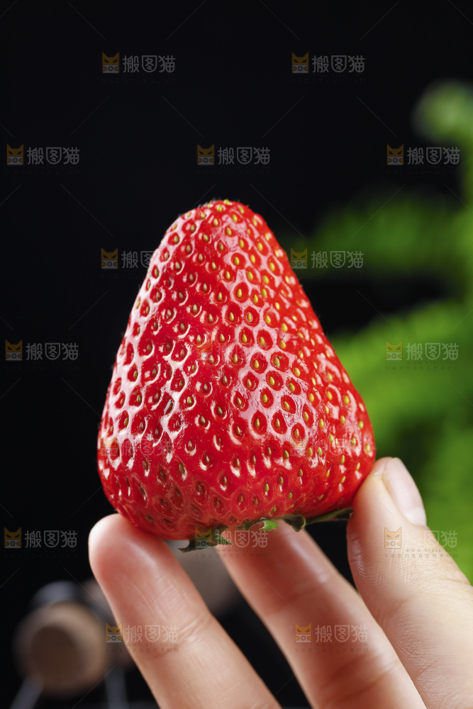 深底上的丹东草莓