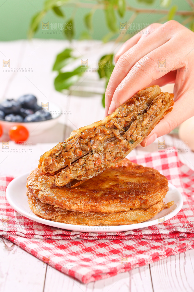 浅底上的牛肉馅饼