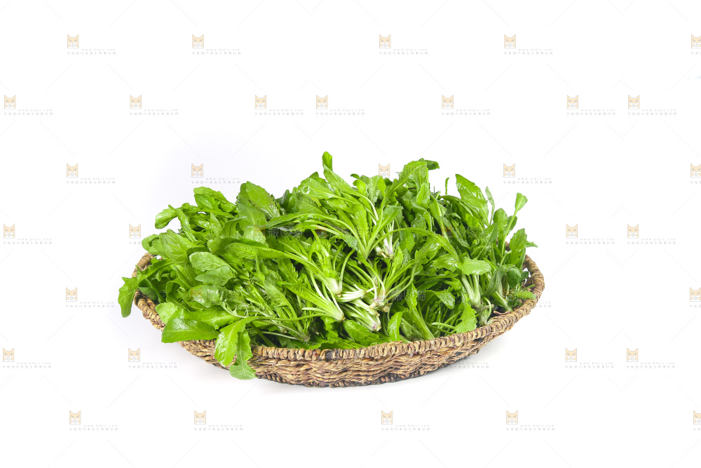 白底上的荠菜