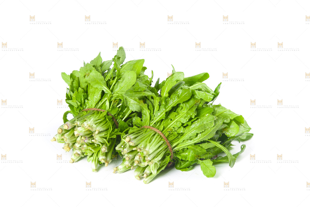 白底上的荠菜