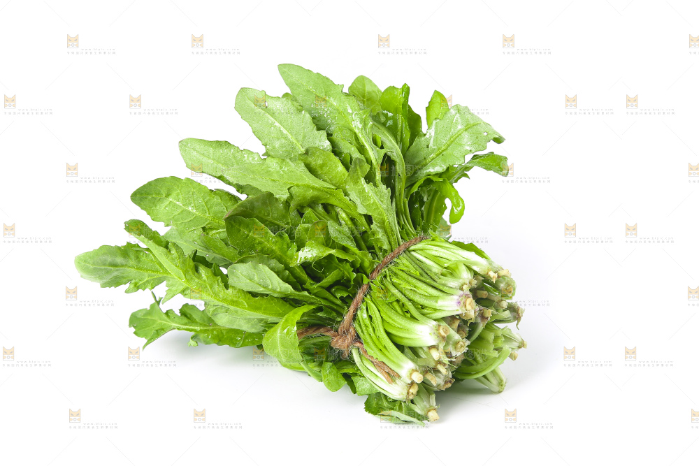 白底上的荠菜