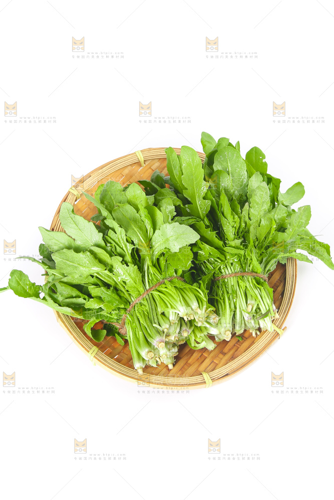 白底上的荠菜