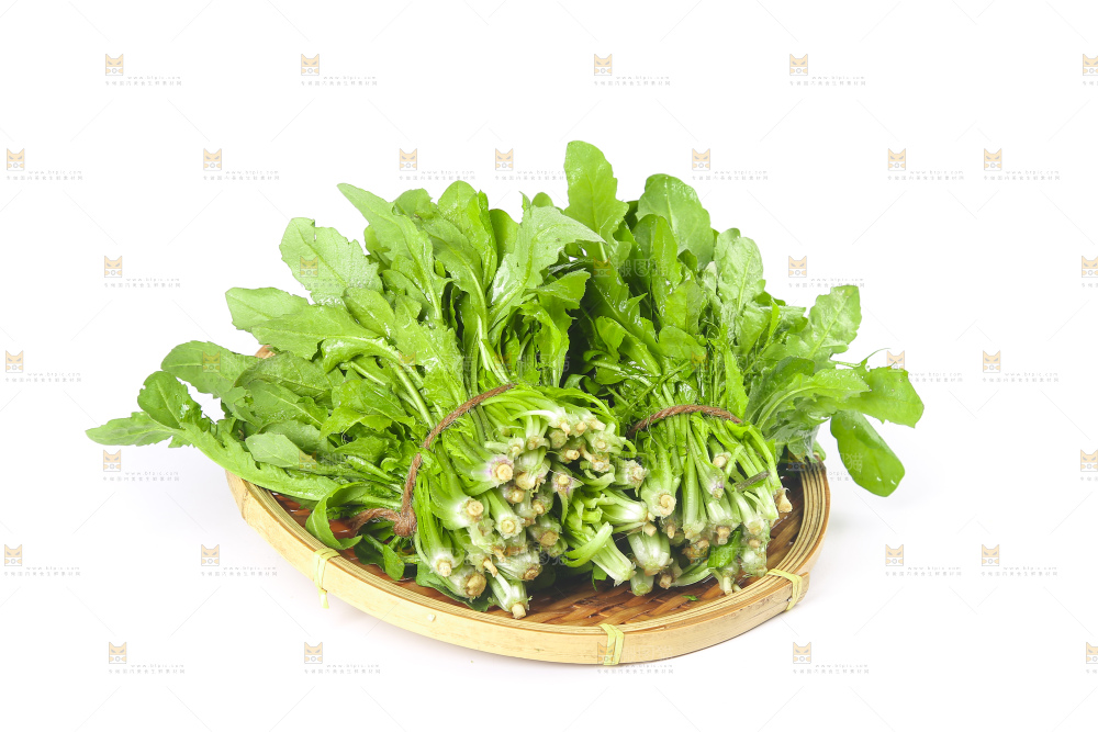 白底上的荠菜