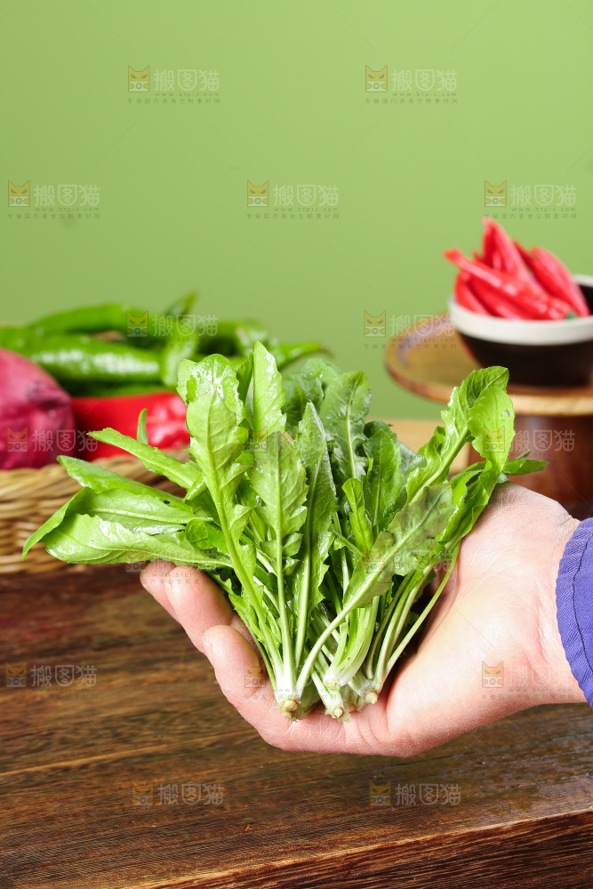 木底上的地菜