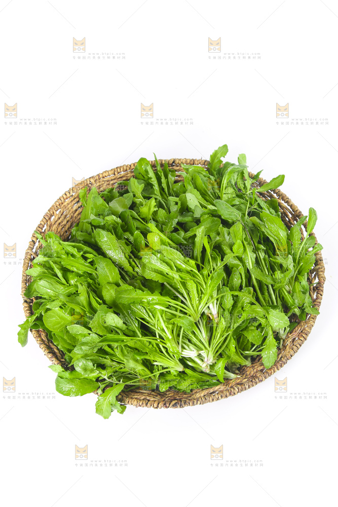 白底上的荠菜