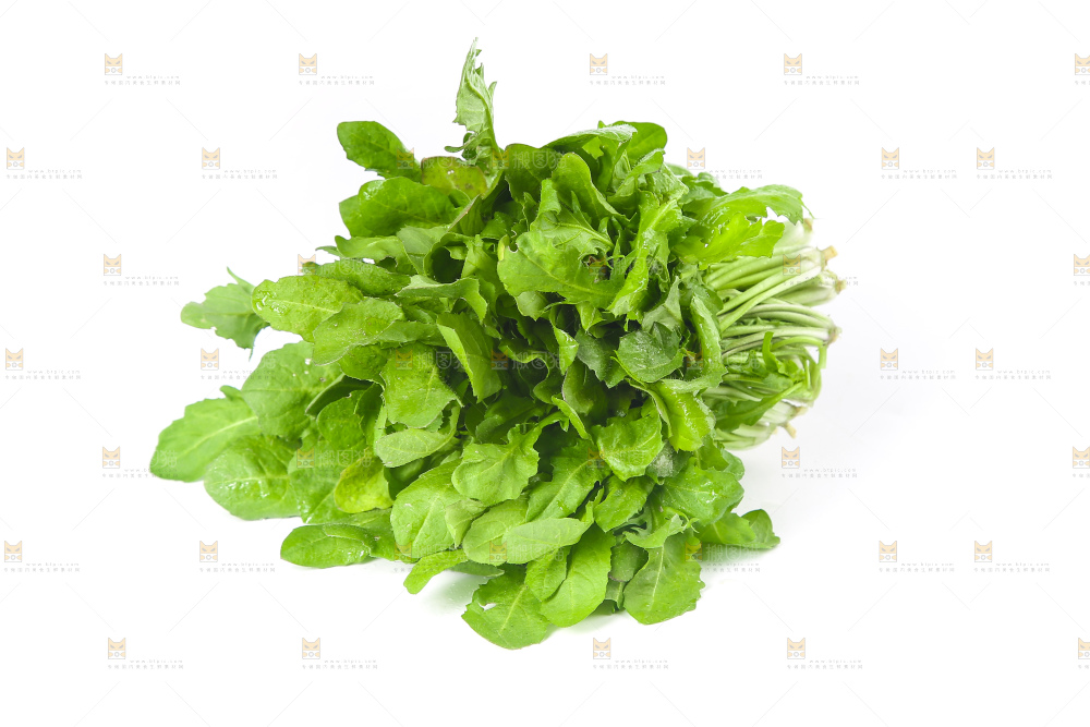 白底上的荠菜