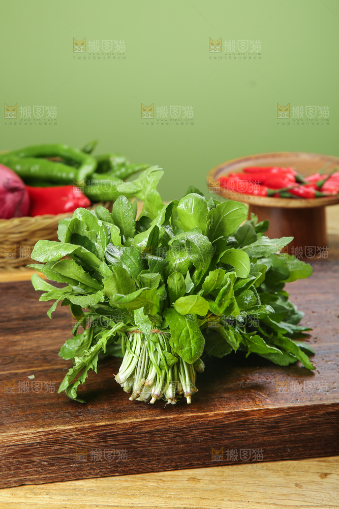木底上的地菜