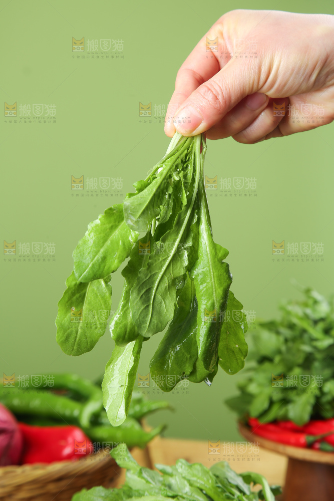 木底上的地菜