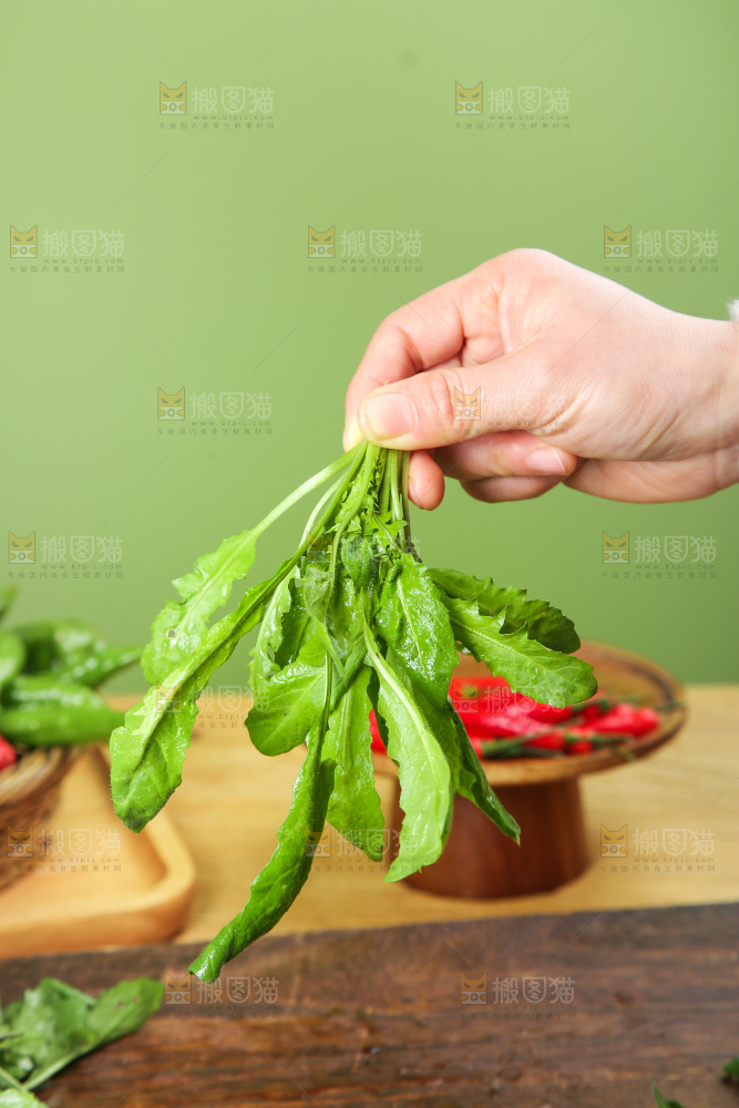 木底上的地菜
