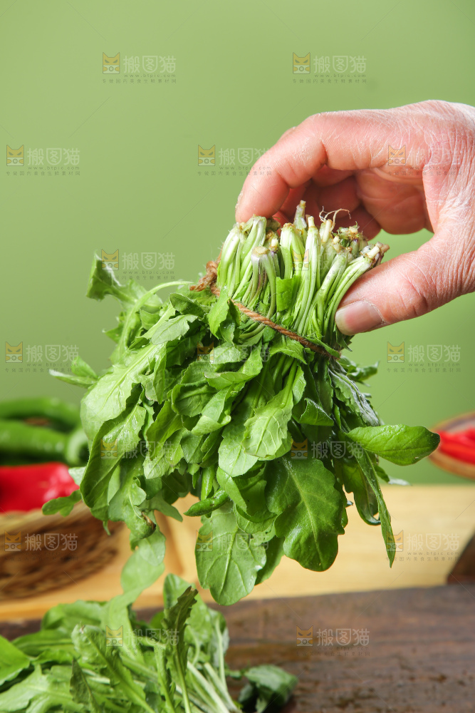 木底上的地菜