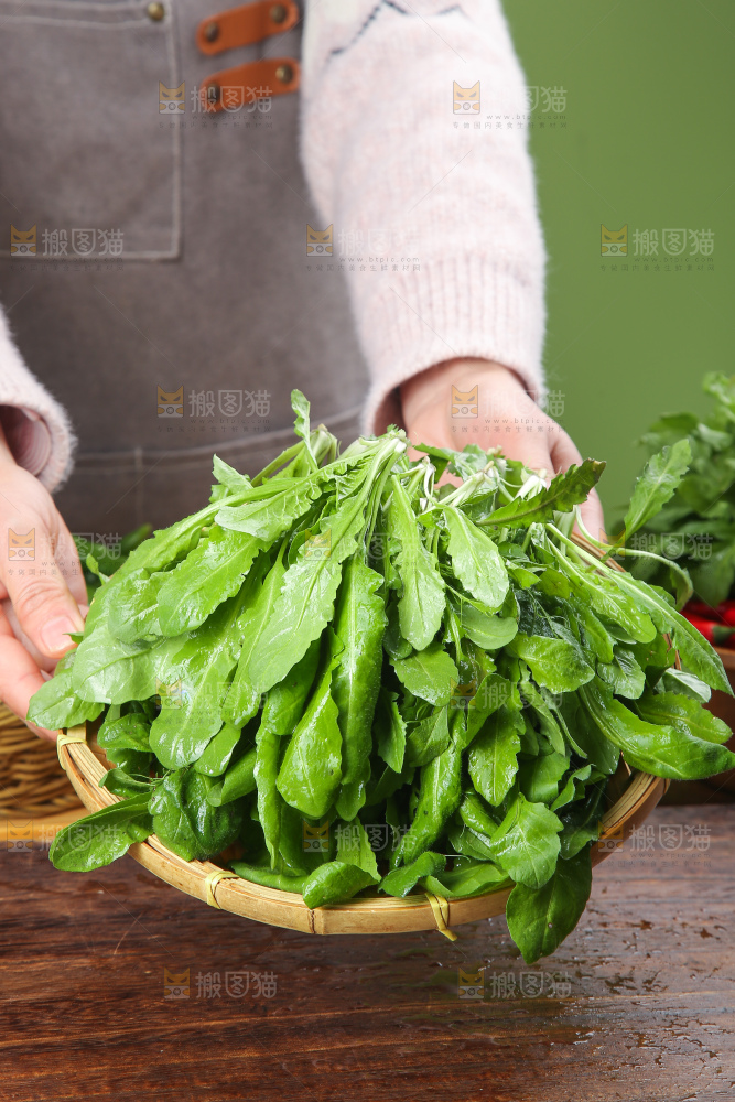 木底上的地菜