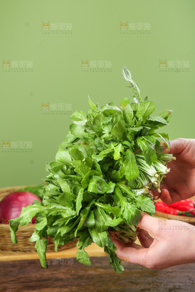 木底上的地菜