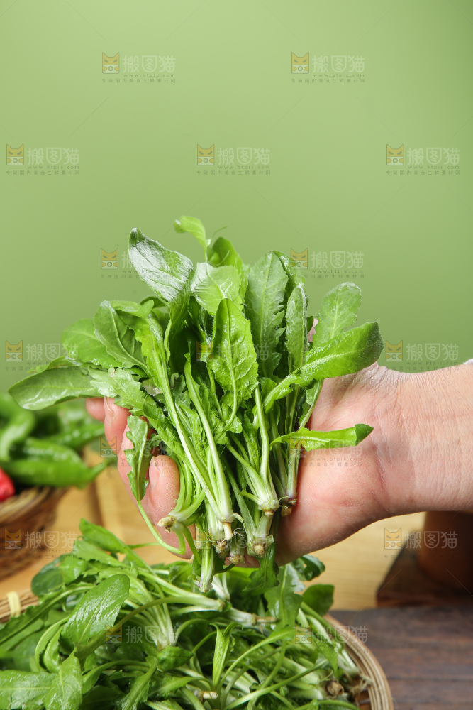 木底上的地菜