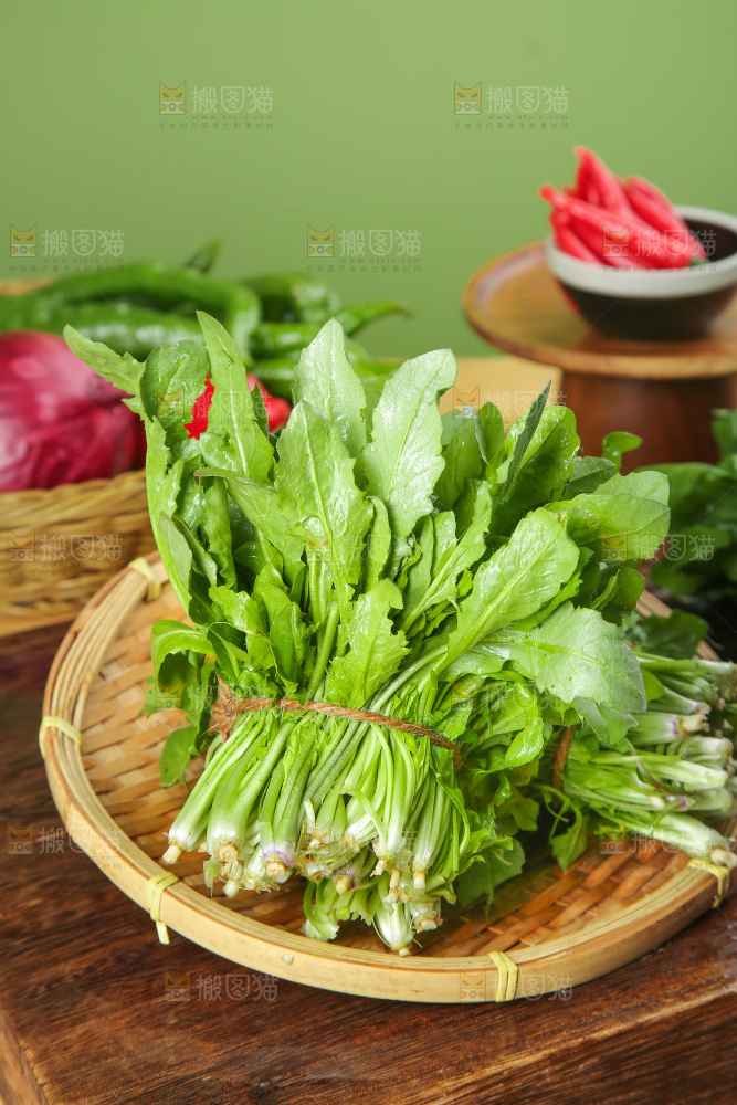 木底上的地菜