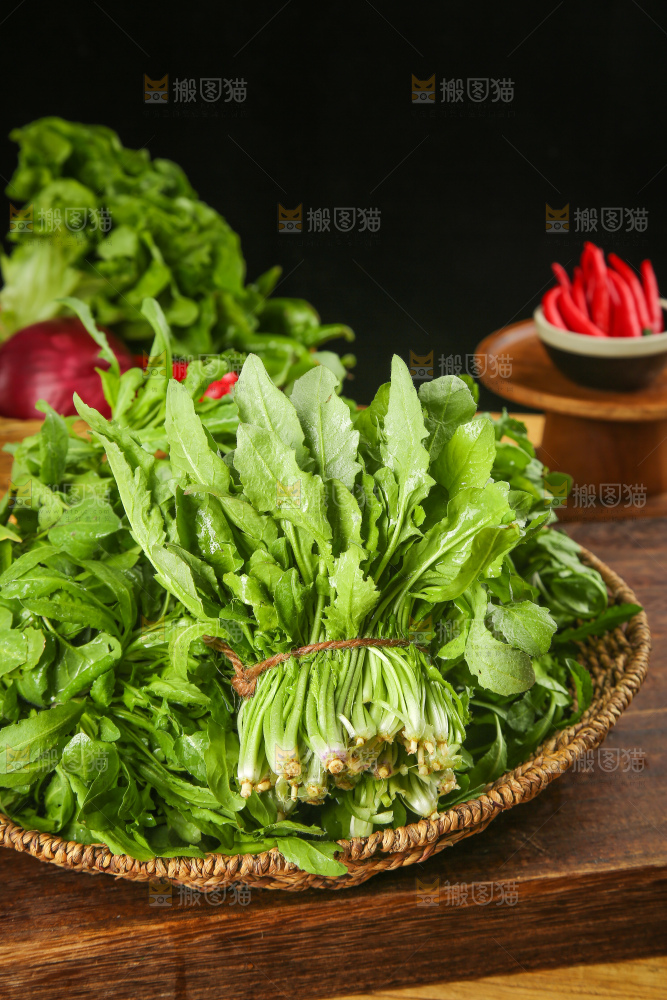 木底上的地菜