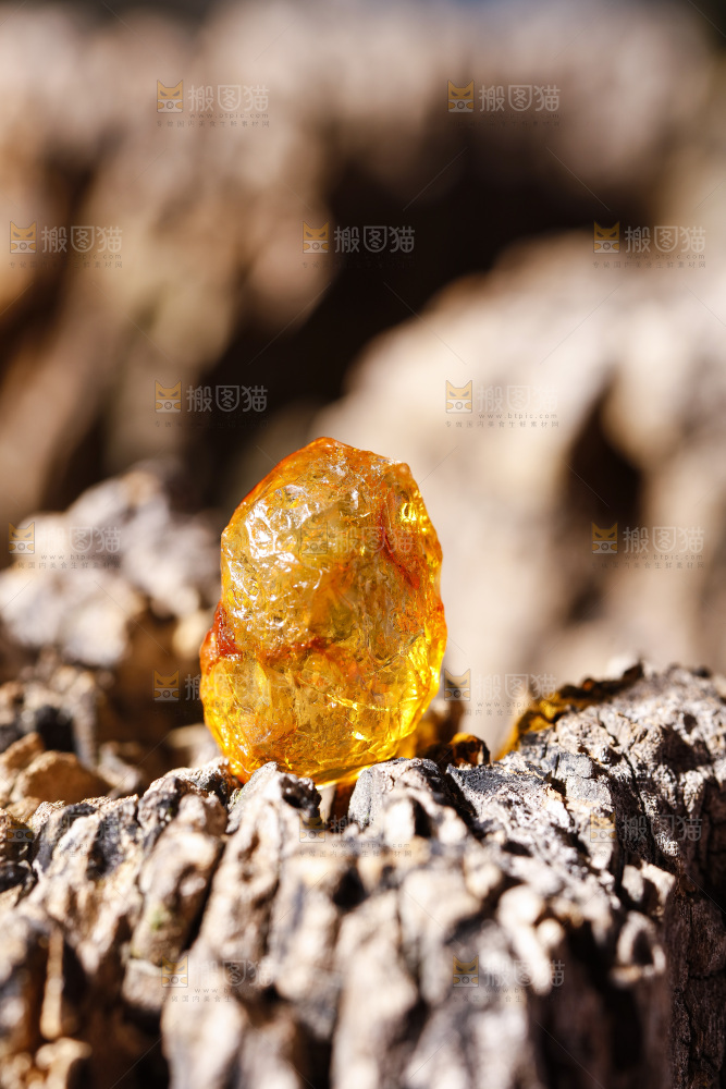 深底上的桃树胶