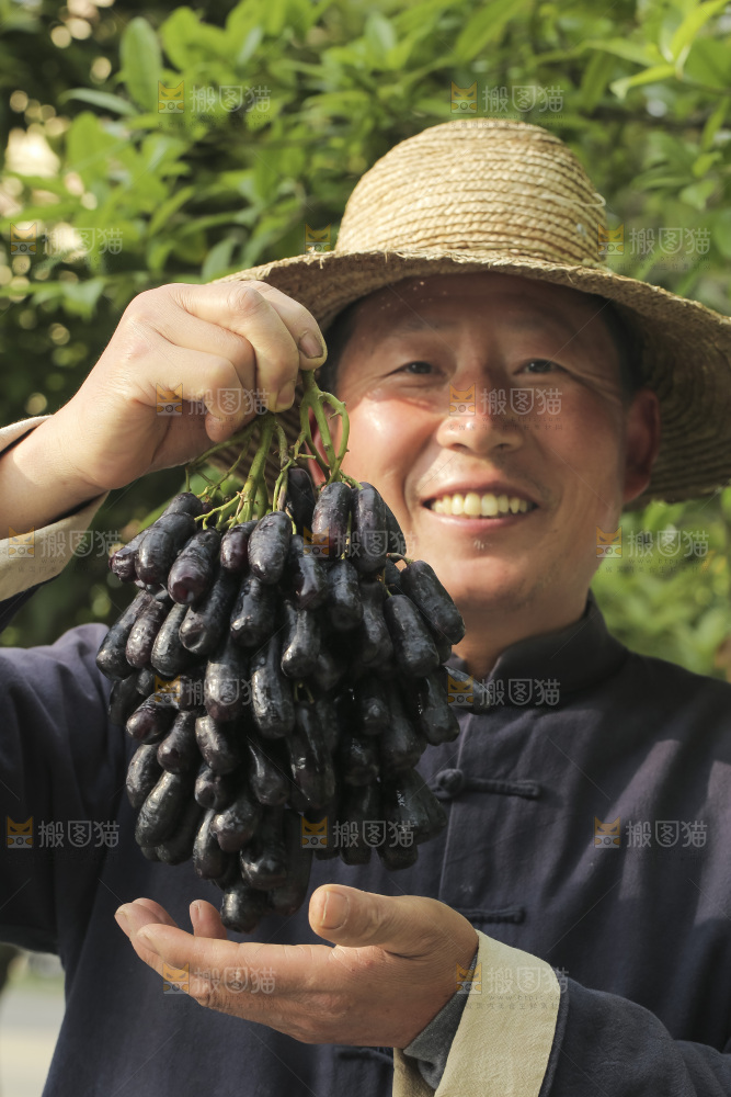 手里拿着蓝宝石葡萄
