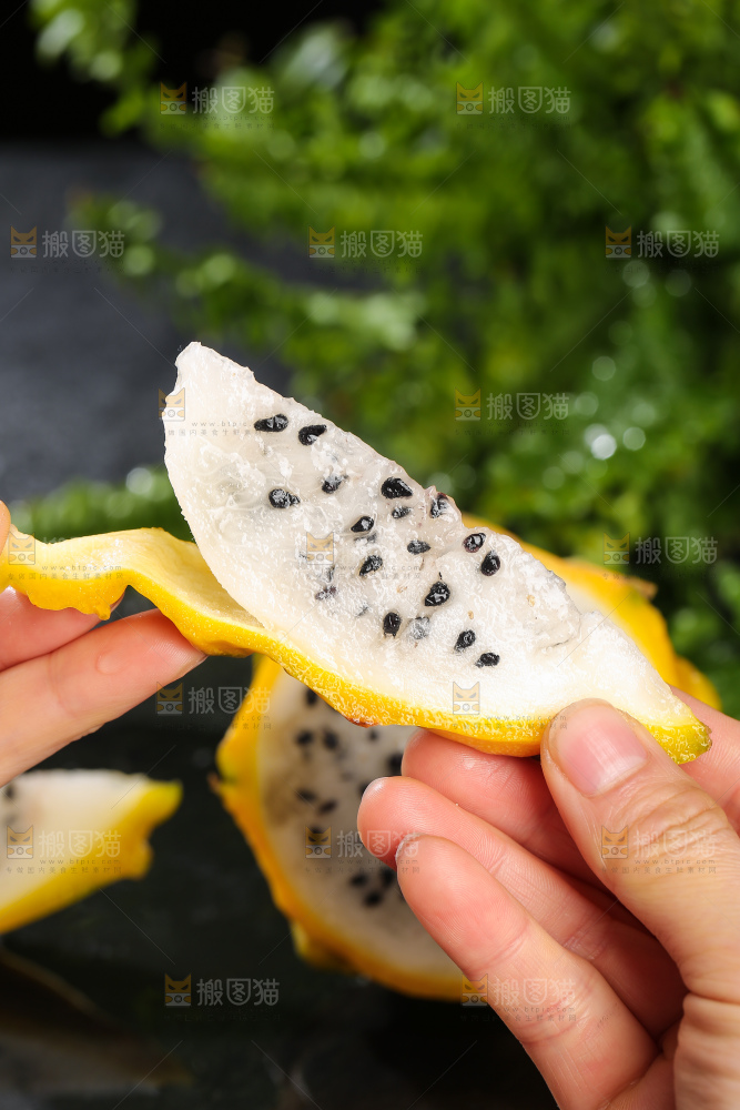 深底上的燕窝果
