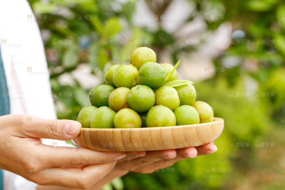 手里拿着三月李