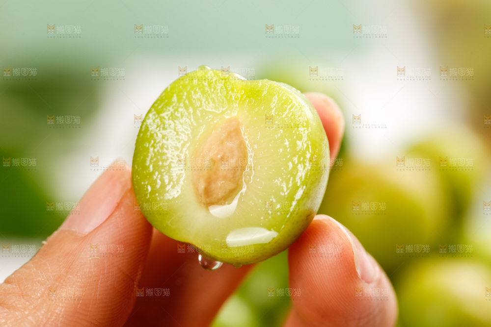 浅底上的三月李