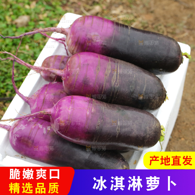 地里的冰淇凌萝卜