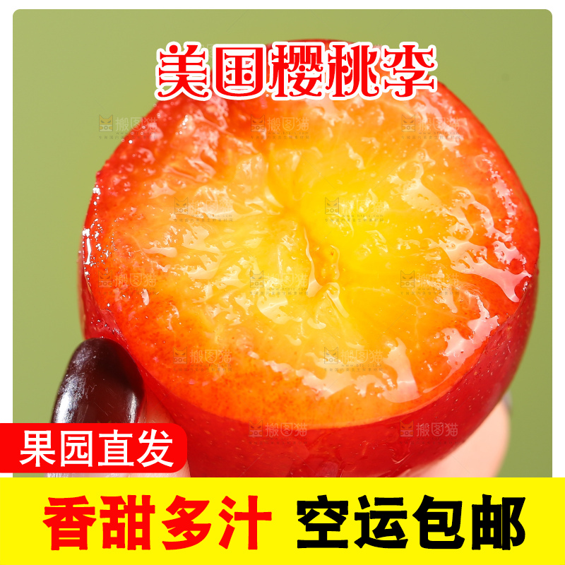 浅底上的樱桃李