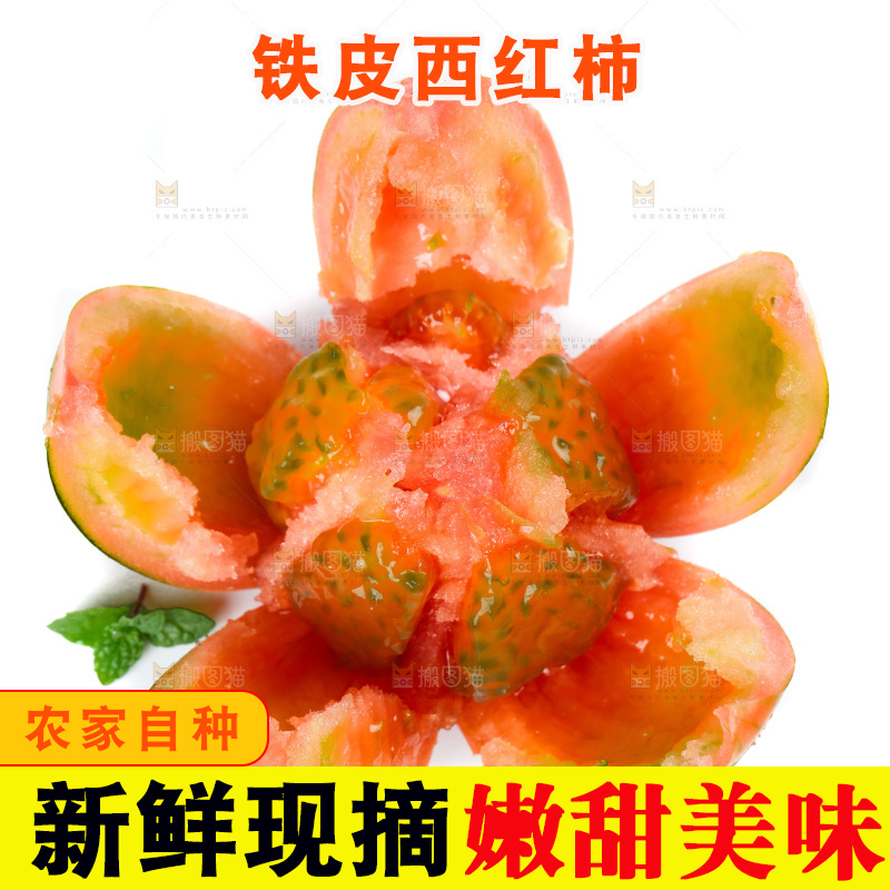 白底上的铁皮西红柿
