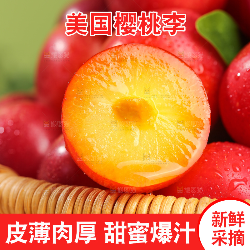 浅底上的樱桃李