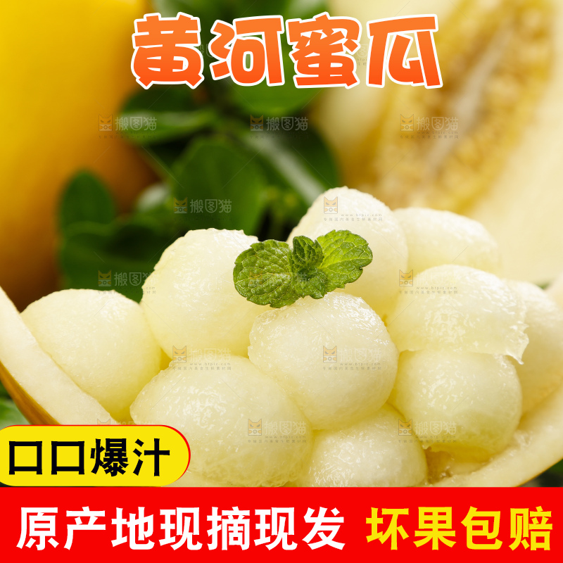 深底上的黄河蜜瓜
