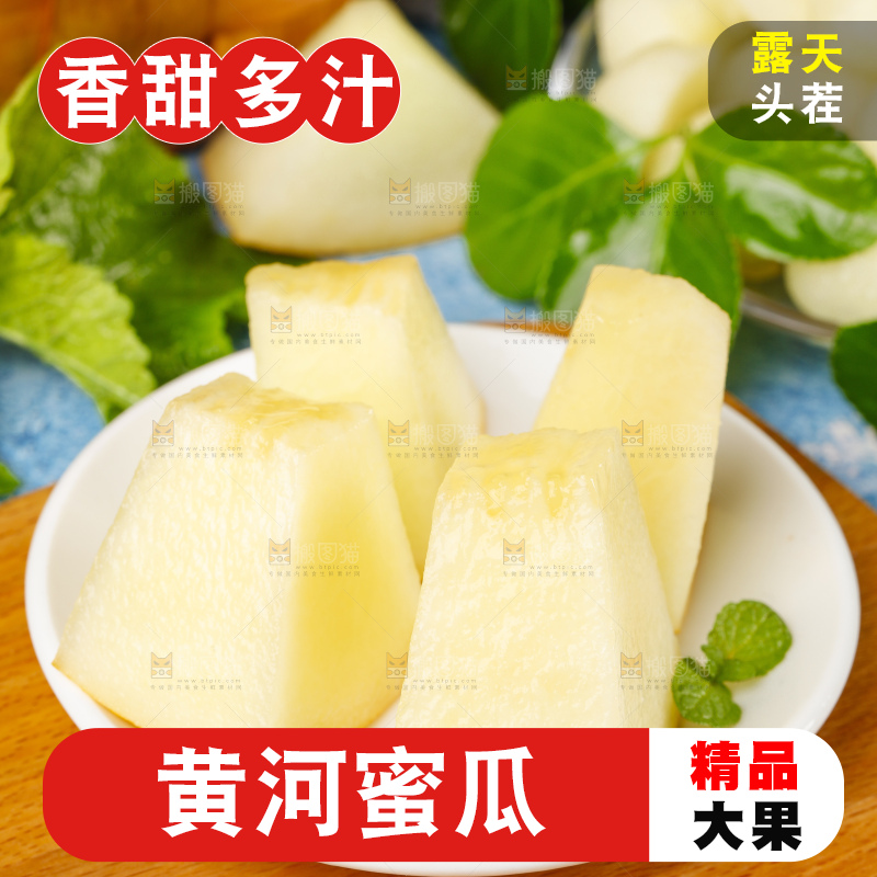 浅底上的黄河蜜瓜