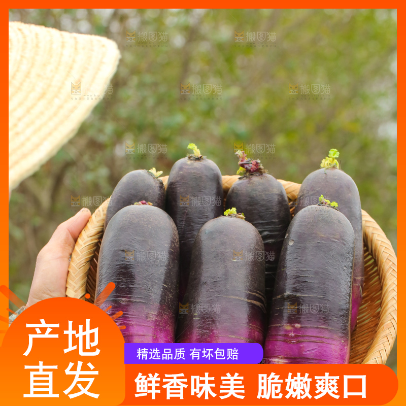手里拿着冰淇凌萝卜