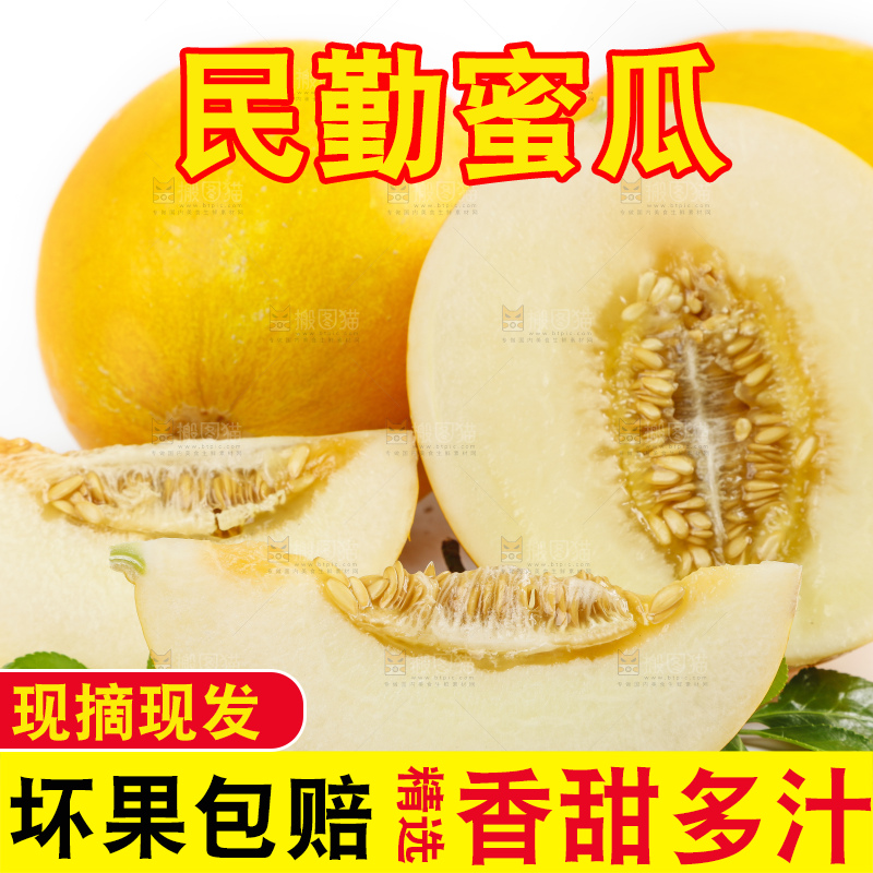 白底上的黄河蜜瓜