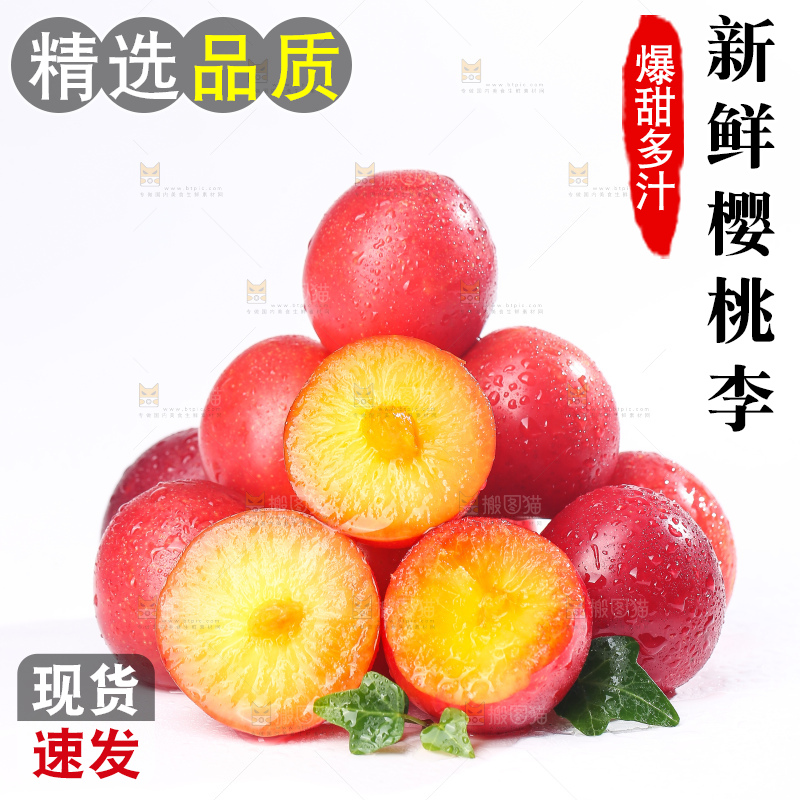 白底上的樱桃李
