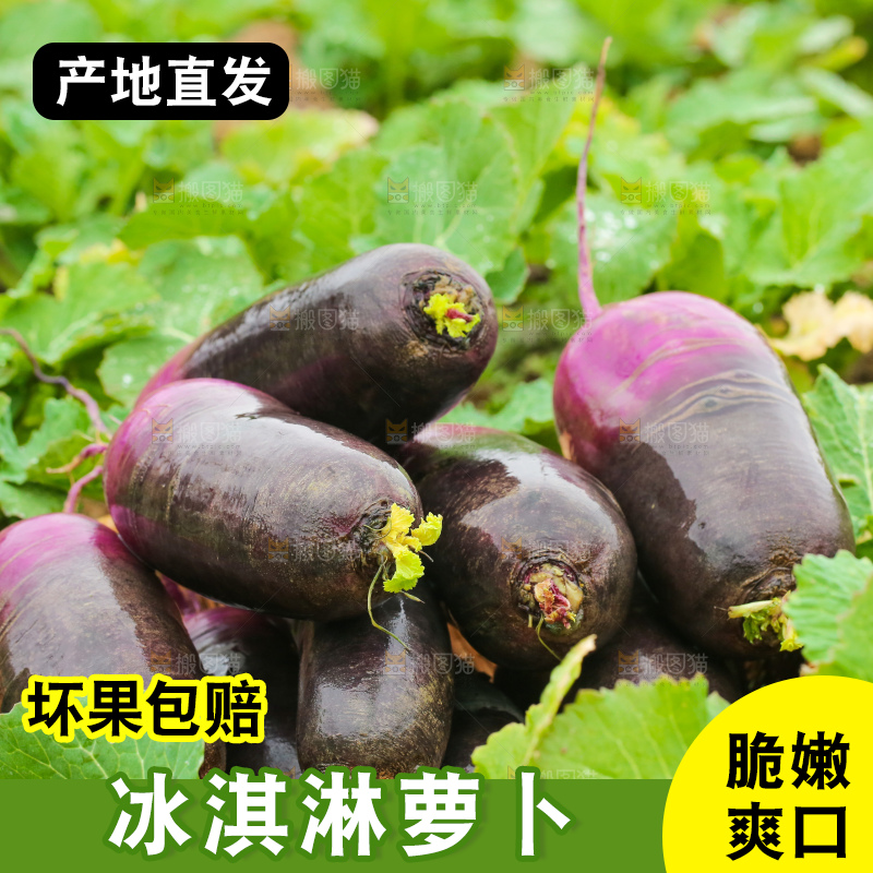 地里的冰淇凌萝卜