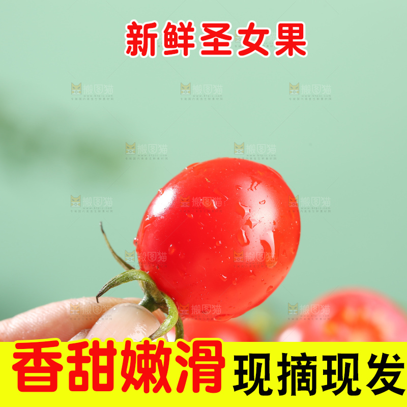 浅底上的圣女果