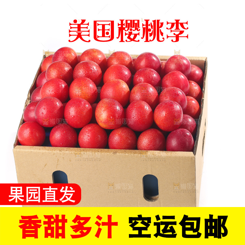 白底上的樱桃李