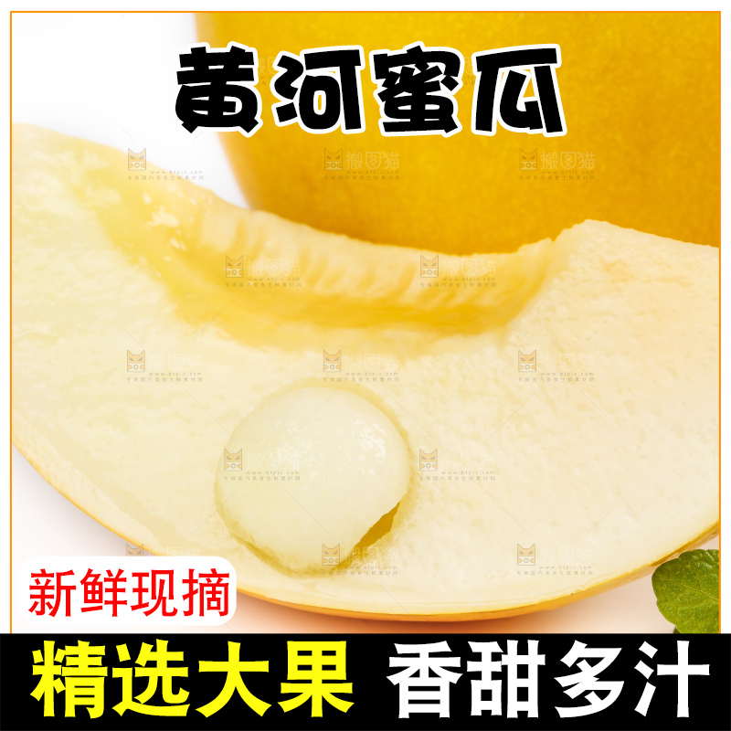 白底上的黄河蜜瓜