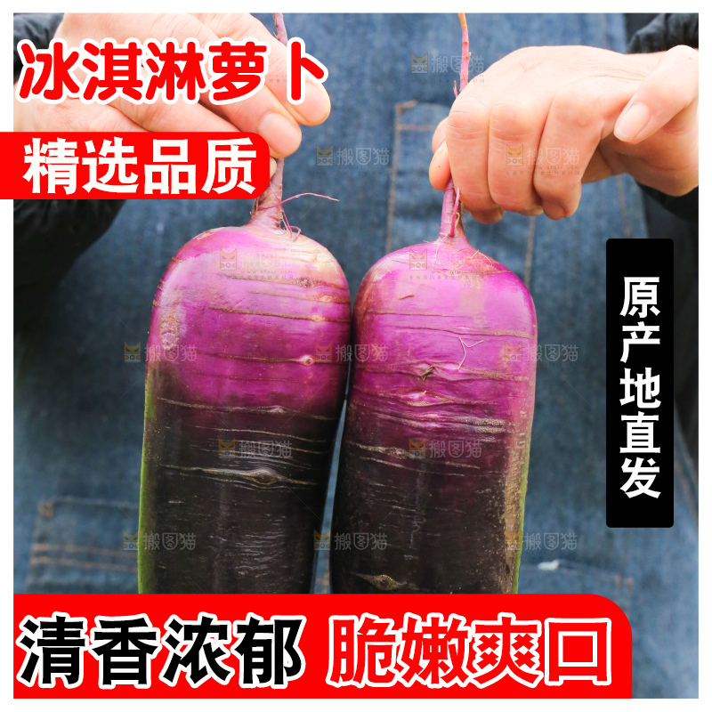 手里拿着冰淇凌萝卜