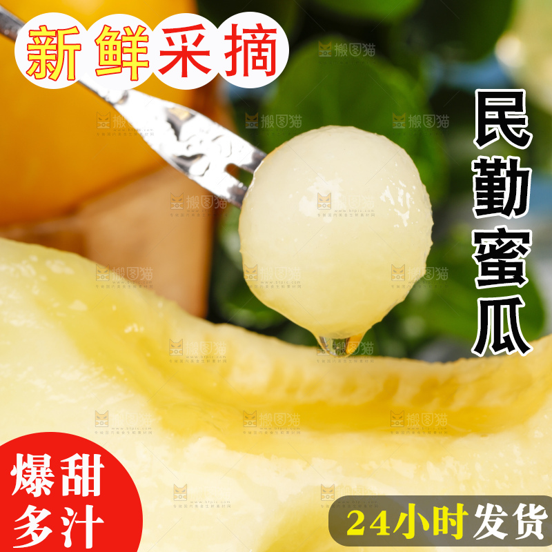 浅底上的黄河蜜瓜