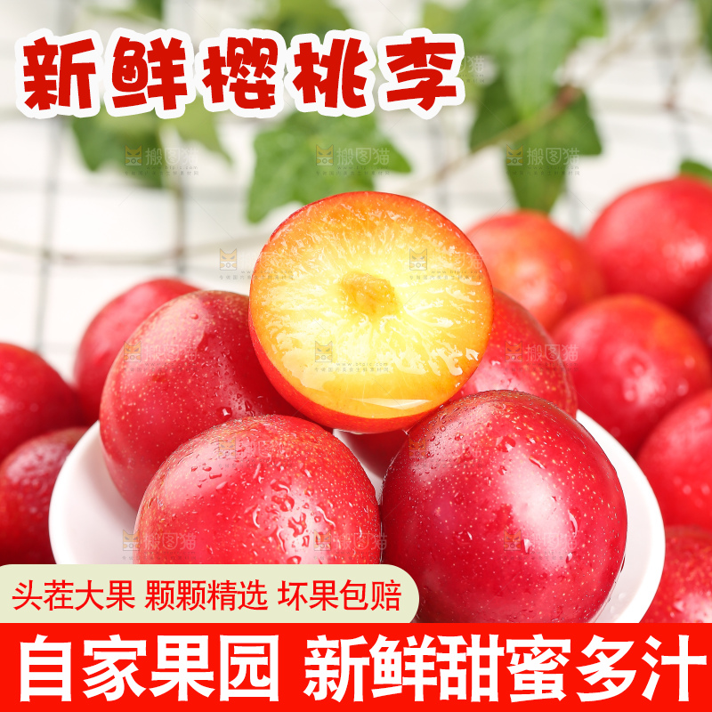 浅底上的樱桃李