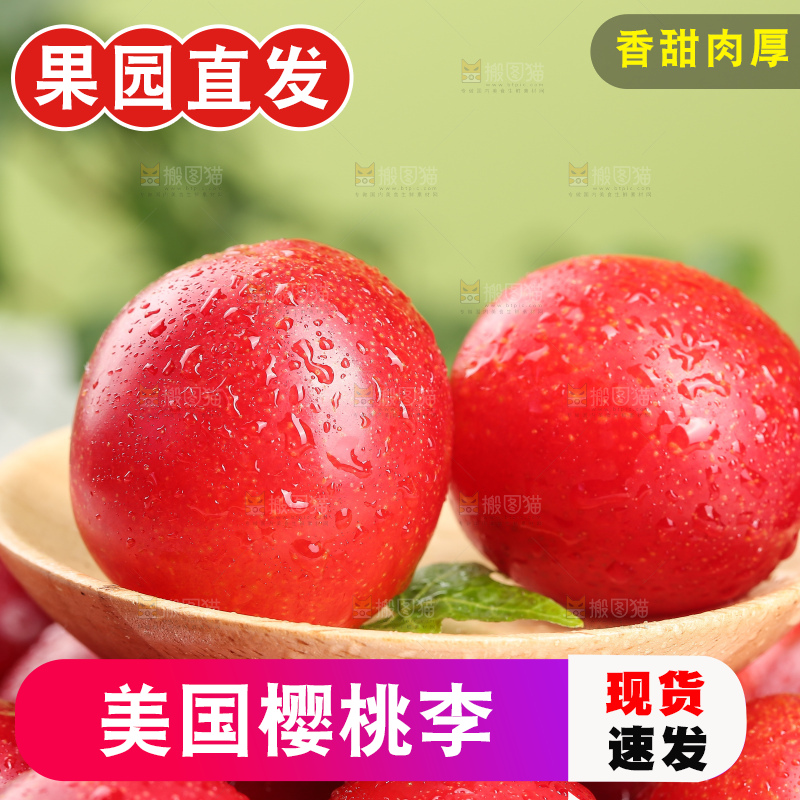 浅底上的樱桃李